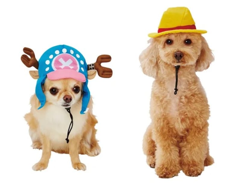 Mascotas con disfraces de One Piece.