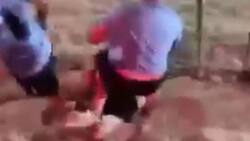 VIDEO | Aficionados chilenos protagonizan brutal campal con futbolistas uruguayos