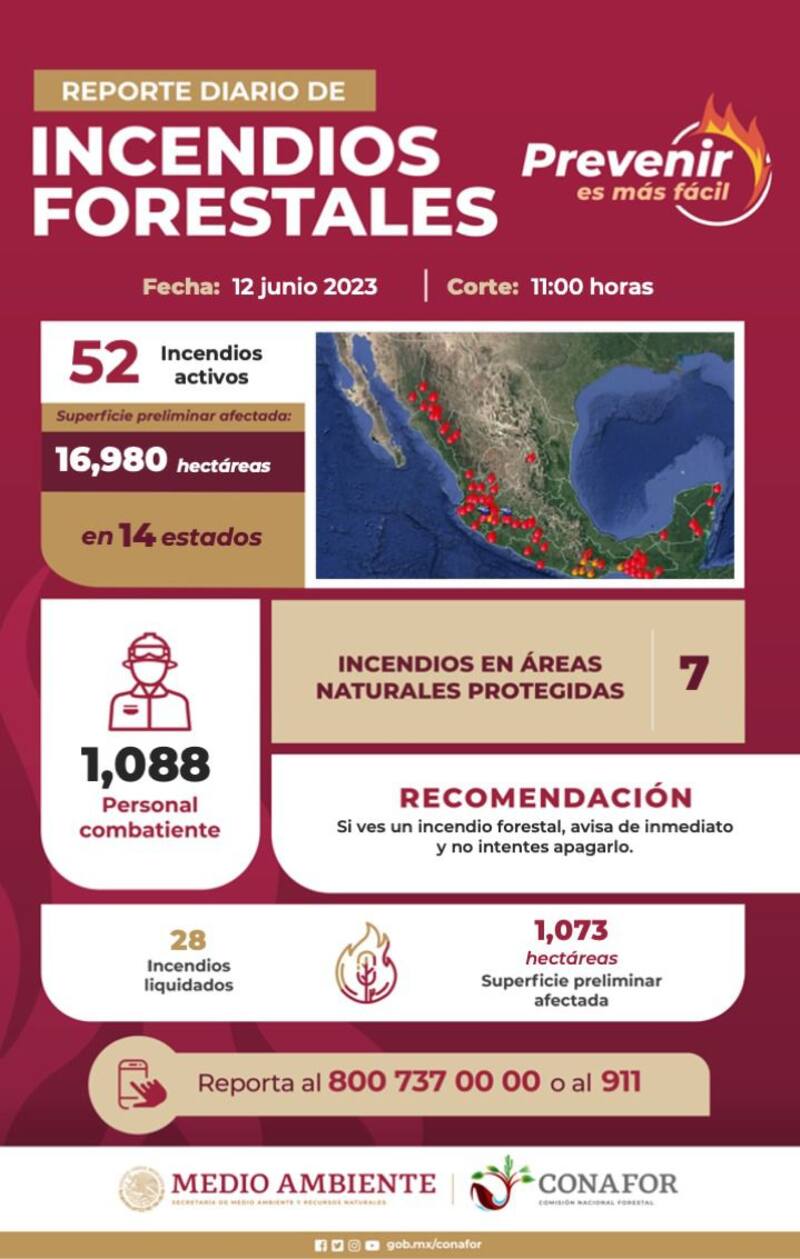 La segunda temporada de calor comenzó en mayo y estas son algunas medidas preventivas.