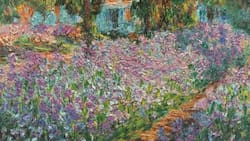 VIDEO | Cuadro de Monet es la última víctima de activistas climáticas