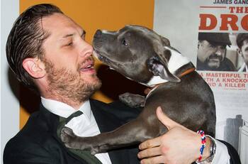 Tom Hardy lleva a su perrhijo Blue a la red carpet de "Venom 2" en Londres