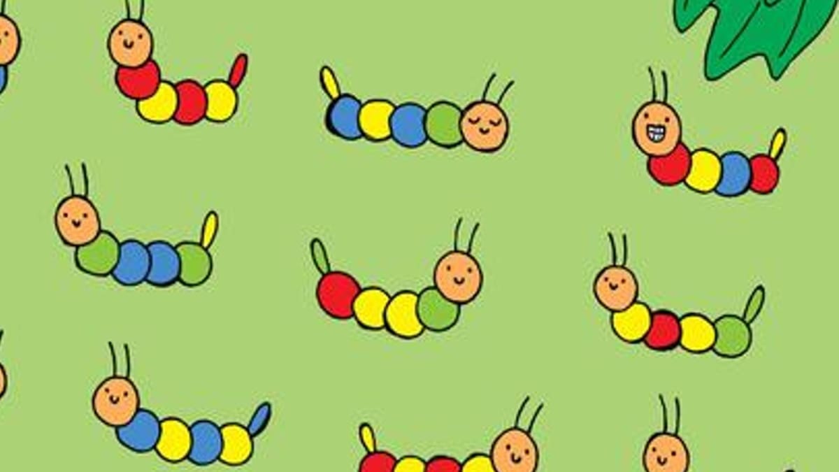 Acertijo visual: Encuentra a la oruga con un patrón único