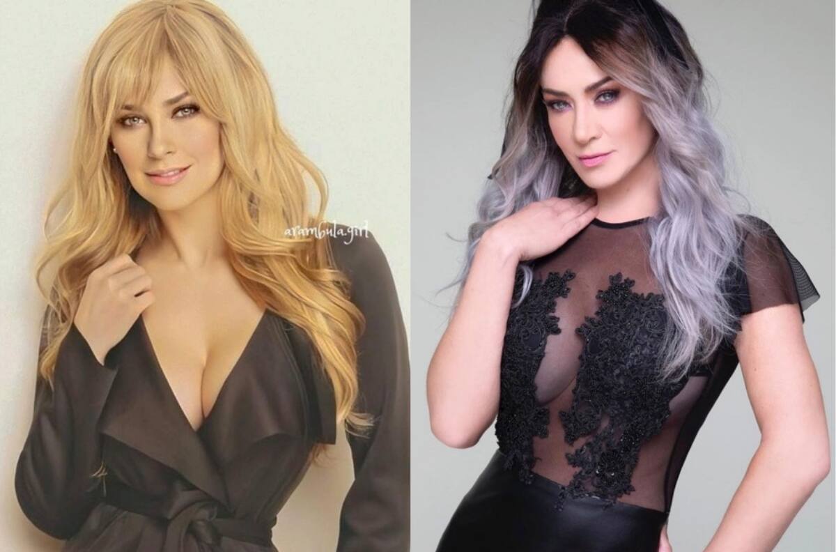 MasterChef Latino logró una comparación imposible para los fans: ¿Aracely Arámbula o Anette Michel?