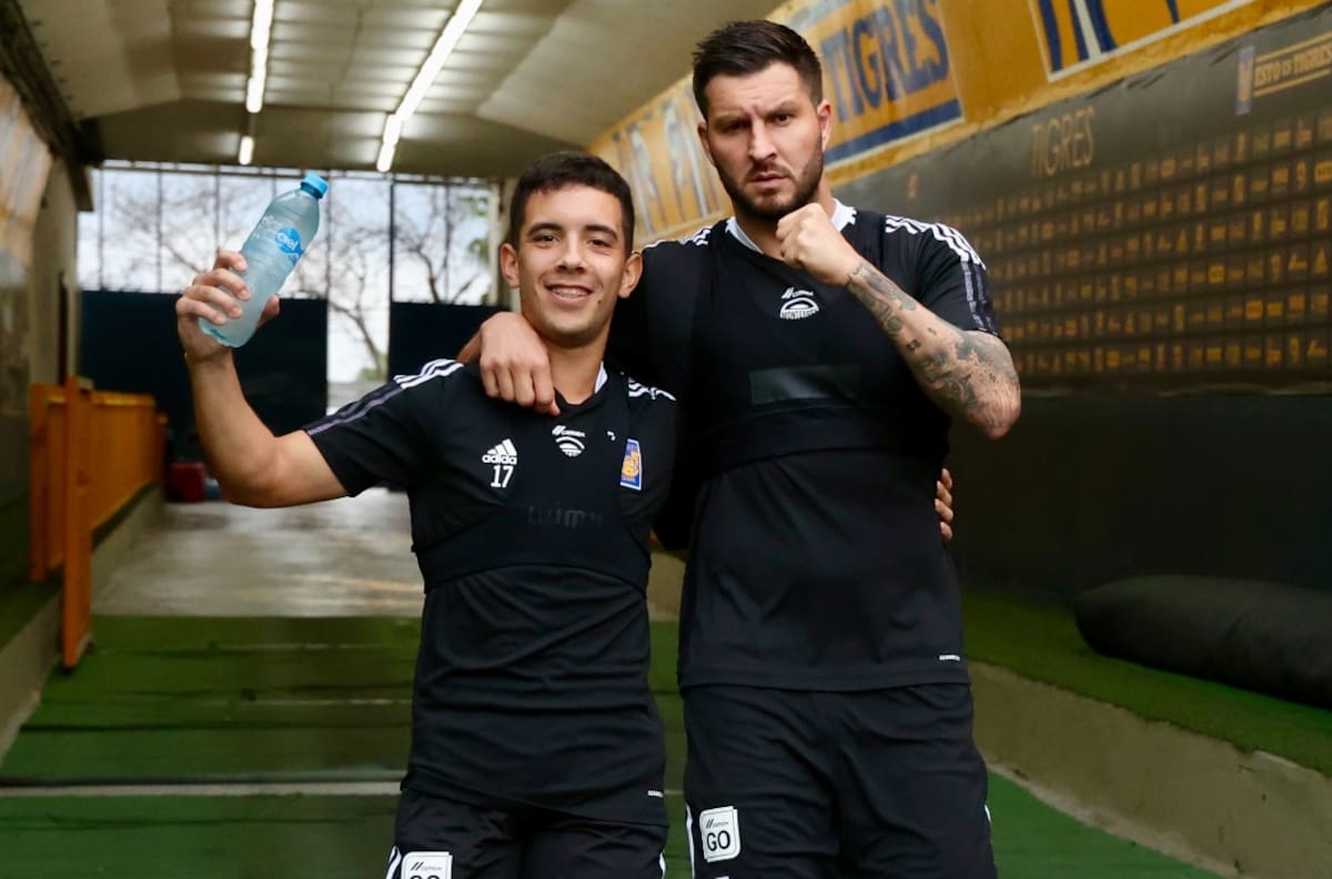 Tigres vs Necaxa, ¿cómo y dónde ver en vivo la jornada-12 de Liga MX?