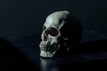 ¡Macabro hallazgo! Encuentran cráneo enterrado en la vía pública de la alcaldía Tlalpan