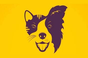 Test de personalidad: Descubre cuáles son tus características más preciadas