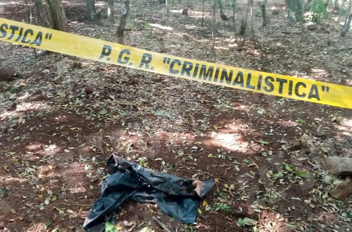 Recuperan a 245 cuerpos de fosas clandestinas en lo que va del 2021 en Jalisco