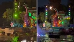 VIDEO| Dragón mecánico se incendia en Disneyland y sorprende a los asistentes