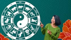 Horóscopo Chino: Conoce qué signo y elemento eres según tu fecha de nacimiento