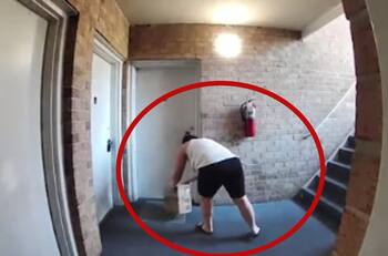 VIDEO: Mujer fue captada robándole a sus vecinos y se volvió viral