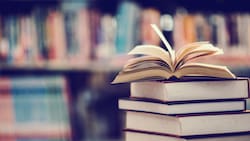 Día Internacional de los Escritores: Dedícale una buena frase a esos apasionados de las letras