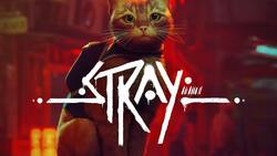 Película animada de Stray ya se encuentra en producción