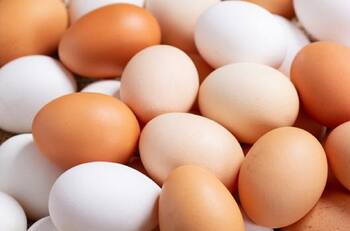 Precio del huevo se dispara al alza en diferentes estados de México por crisis agropecuaria