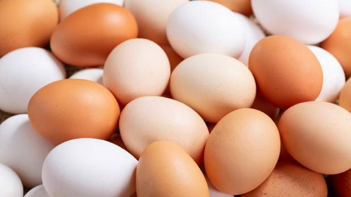 Precio del huevo se dispara al alza en diferentes estados de México por crisis agropecuaria