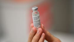 Inmunidad contra Covid-19 podría ser de hasta 12 meses tras el contagio