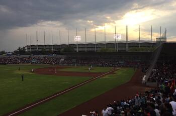 Manager de Rieleros de Aguascalientes multado por golpear jugador