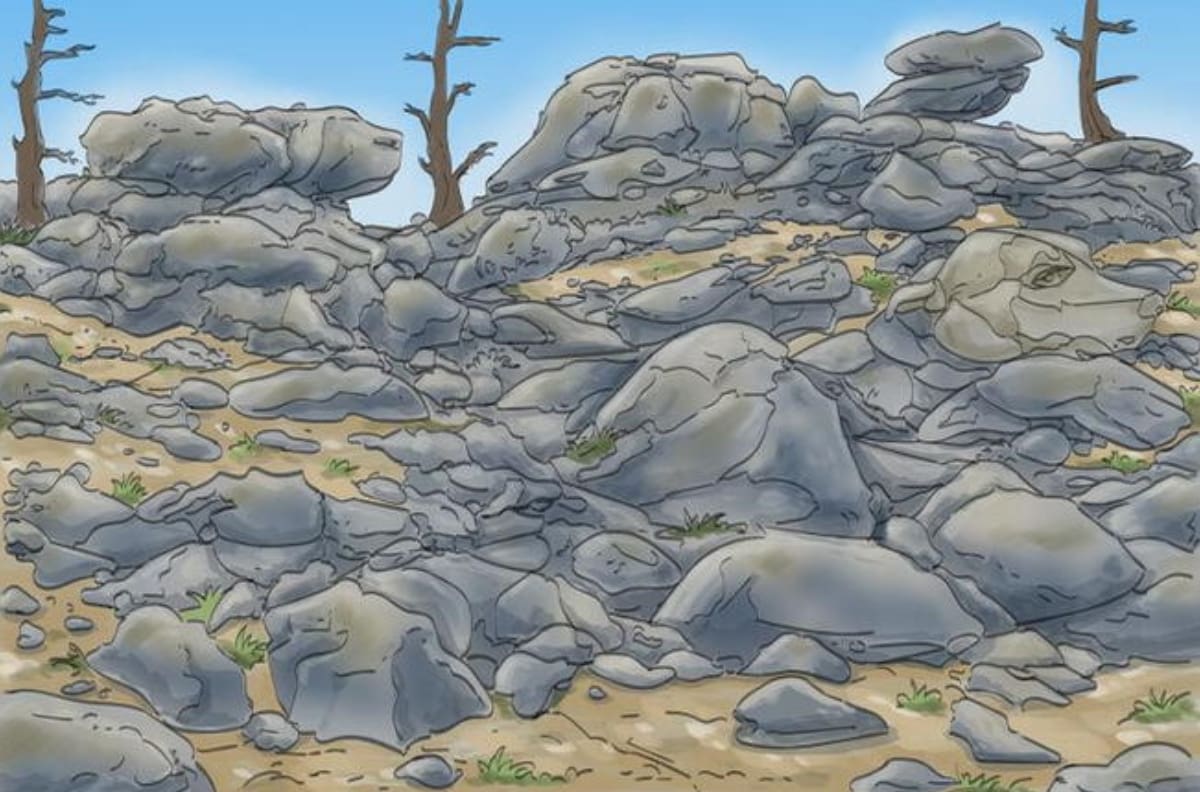 Acertijo Visual: Encuentra al animal escondido en las rocas ¡Sólo tienes 6 segundos!