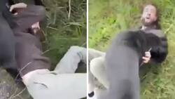 Hombre cita a niña de 12 años a través de internet y el padre de la menor lo recibe con perros de ataque| VIDEO