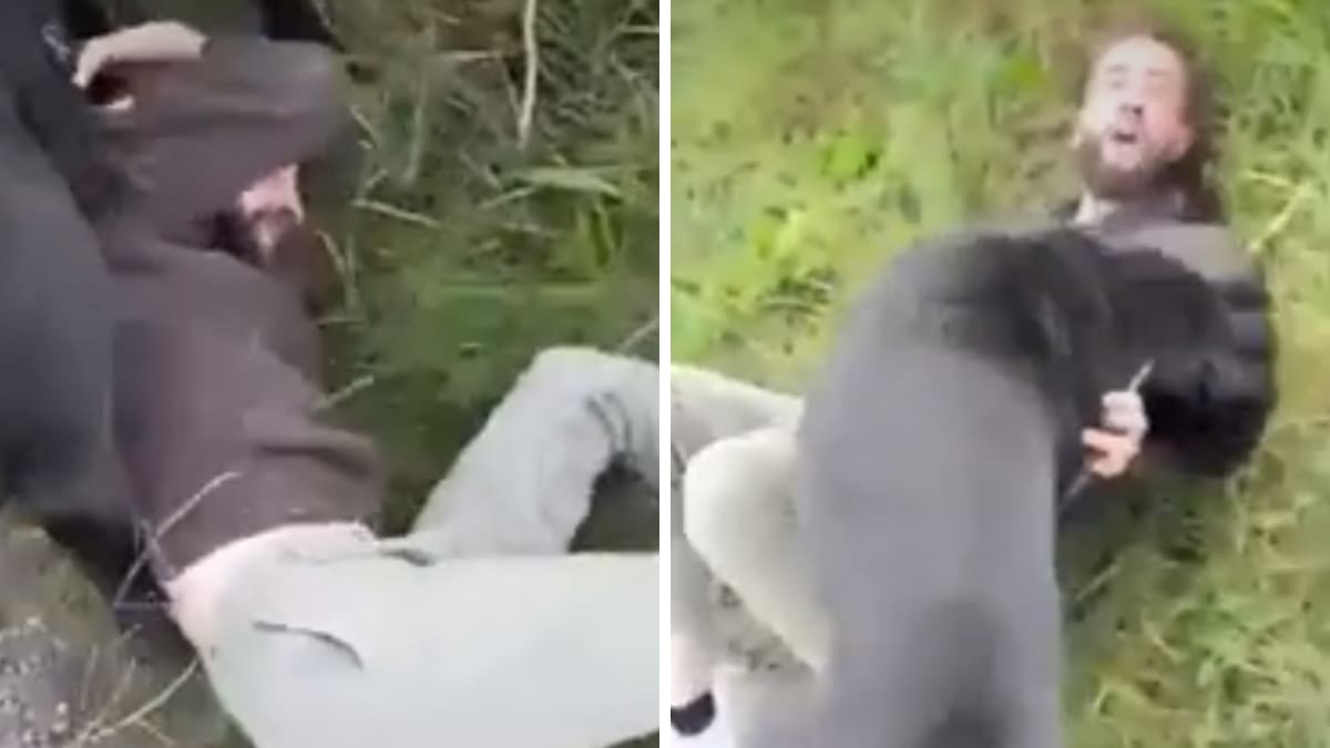 Hombre cita a niña de 12 años a través de internet y el padre de la menor lo recibe con perros de ataque| VIDEO