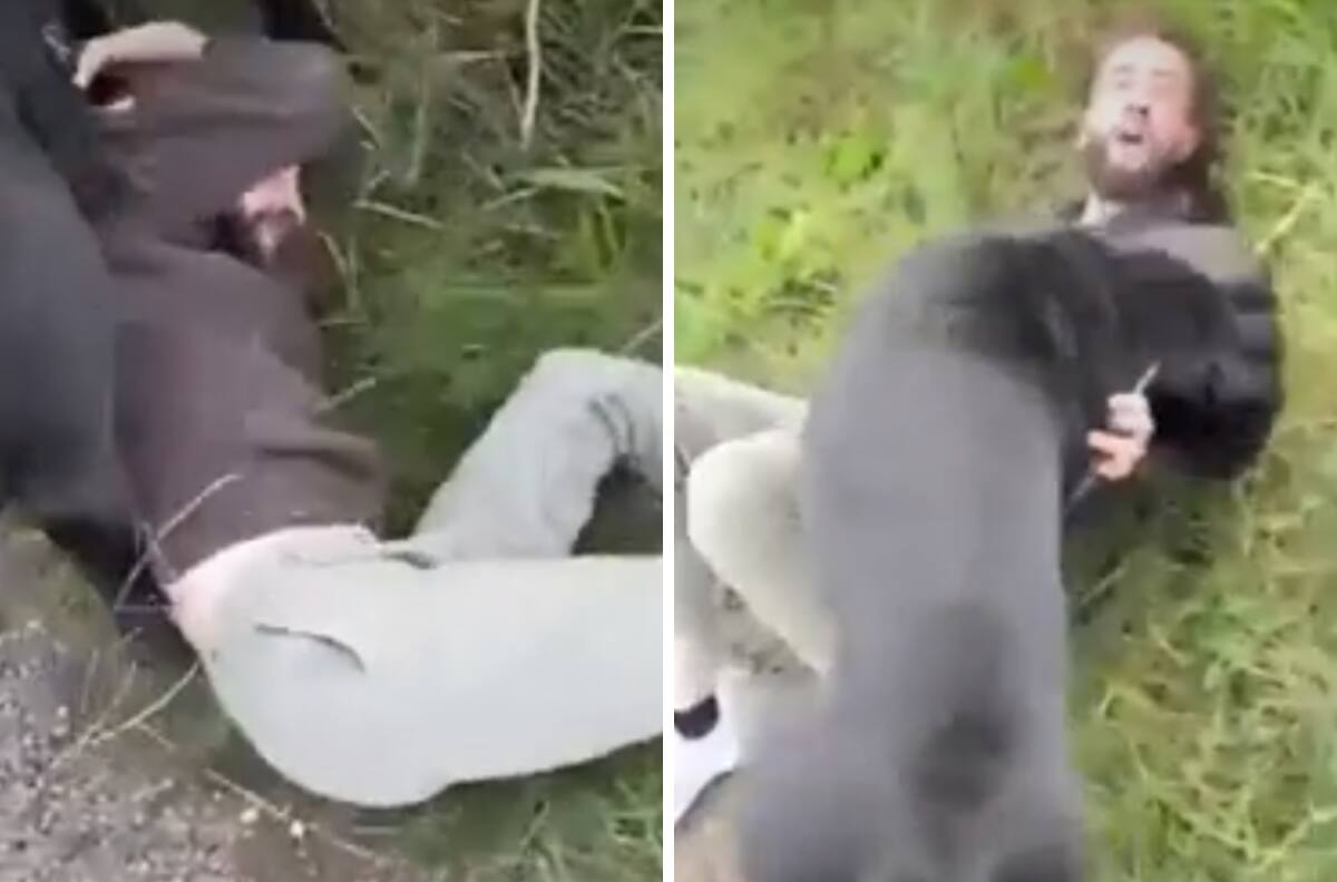 Hombre cita a niña de 12 años a través de internet y el padre de la menor lo recibe con perros de ataque| VIDEO