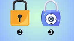 Test de Personalidad: Escoge uno de esto elementos y descubre si eres una persona testaruda