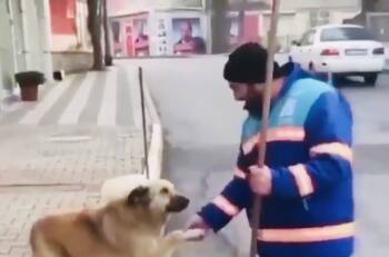 Perro callejero pide caricias a barrendero y causa ternura en redes sociales