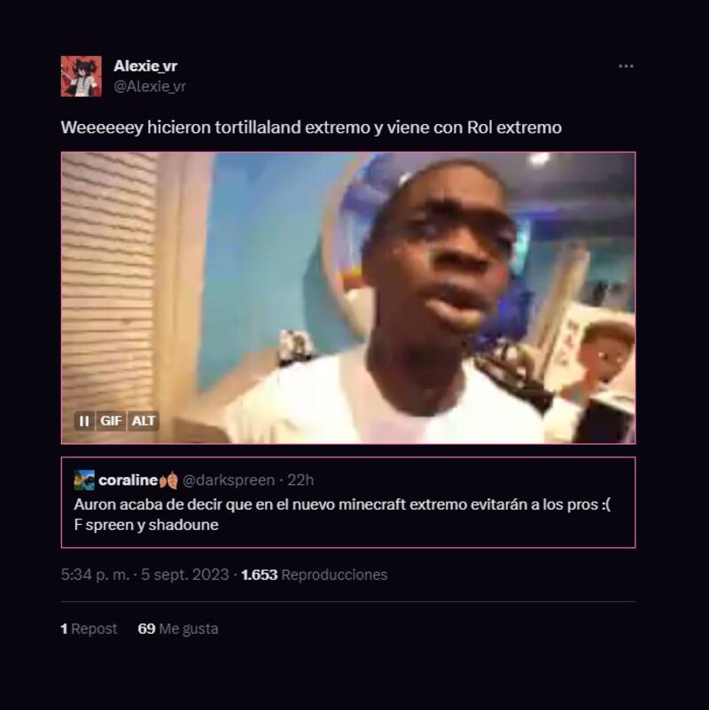 Usuarios critican Minecraft Extremo y lo comparan con Tortillaland, otra serie de Auron.