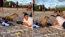 VIDEO: Hombre se queda dormido a la orilla del mar y despierta con una foca