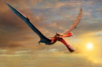 ¡Los dragones existen! Científicos encuentran uno en Australia