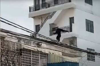 Video viral: un mono equilibrista caminó e hizo piruetas sobre los cables de luz