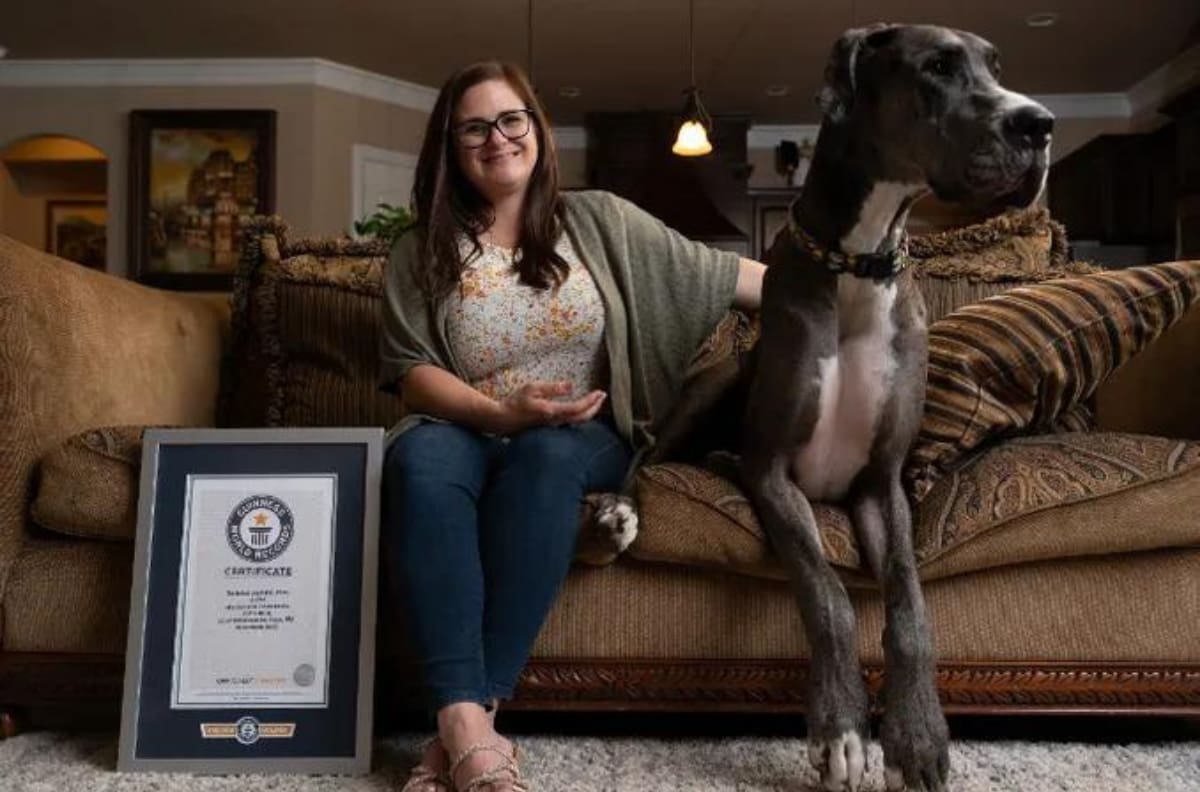 Récord Guinness: Este es el perro más alto del mundo ¡No creerás su estatura!