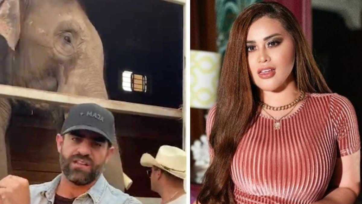 "A ver si lo cuidan como nosotros": Gomita asegura que Arturo Islas Allende lucró con el elefante Big Boy