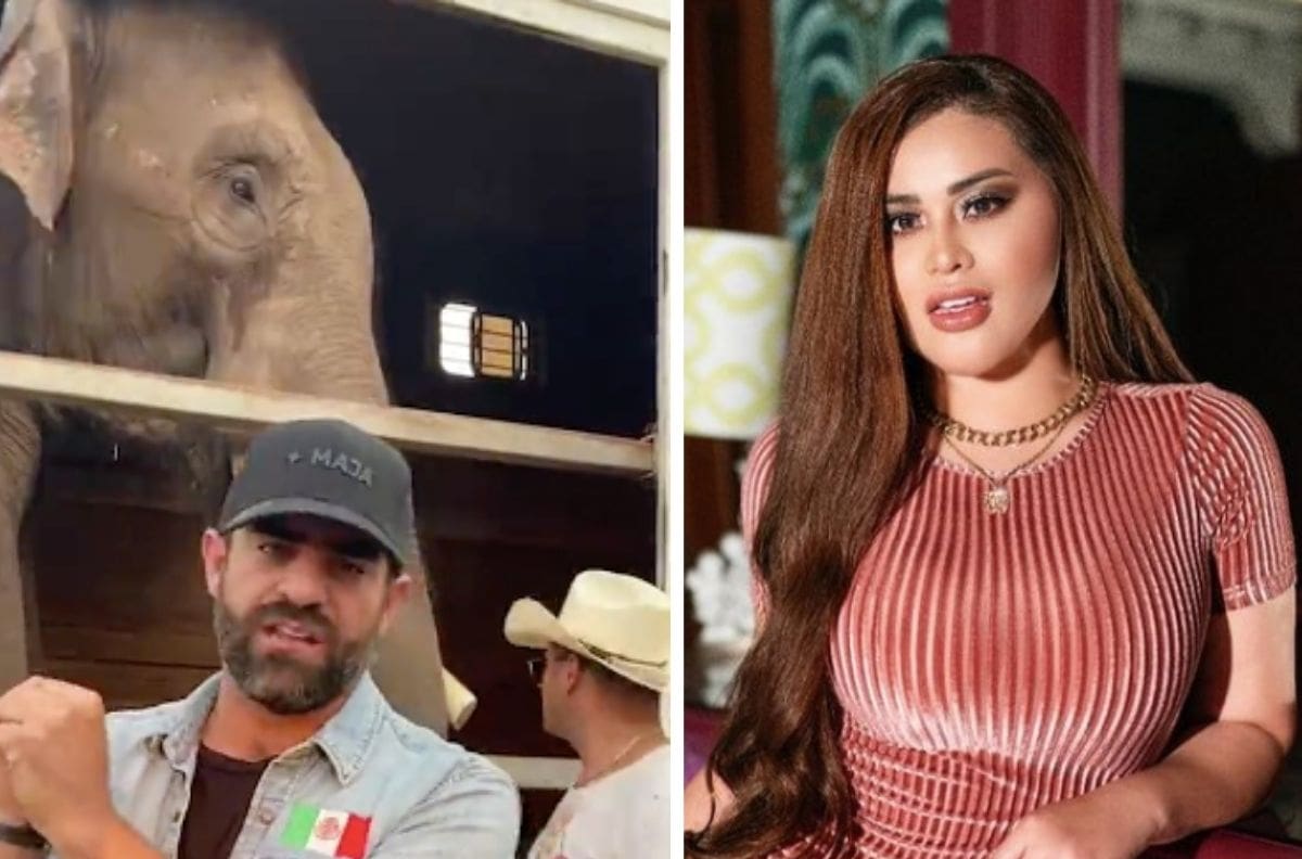 "A ver si lo cuidan como nosotros": Gomita asegura que Arturo Islas Allende lucró con el elefante Big Boy
