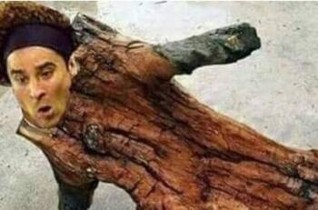 Estos son los mejores memes que nos dejó el México vs Panamá