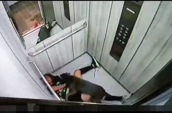 VIDEO | Pitbull atacó brutalmente a una mujer en un elevador