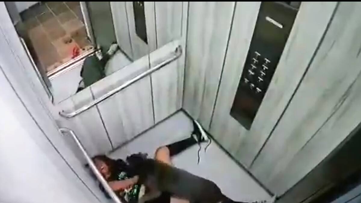 VIDEO | Pitbull atacó brutalmente a una mujer en un elevador