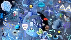 Acertijo visual: Encuentra al come galletas