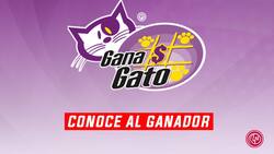 Gana Gato No. 2473: Estos son los números ganadores del sábado 10 de diciembre
