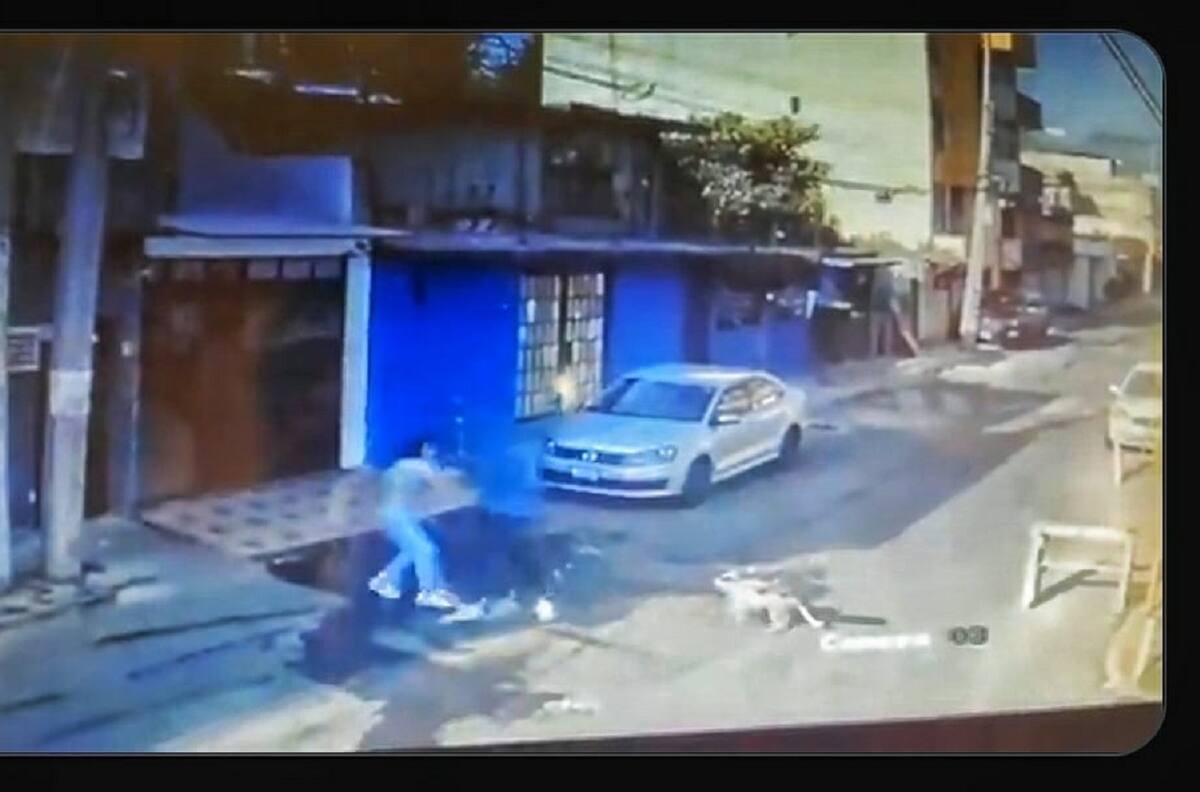 Perruno al rescate: Can salvó a su humana de un asalto a punta de mordiscos