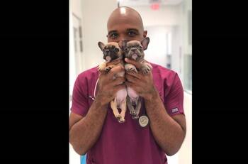 Dan 21 años de prisión a veterinario que tuvo sexo con perros y los grababa