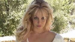 Britney Spears reclama a familia y amigos por dejarla sola con su padre