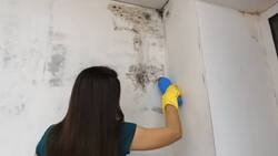 El truco para eliminar la humedad de tu hogar