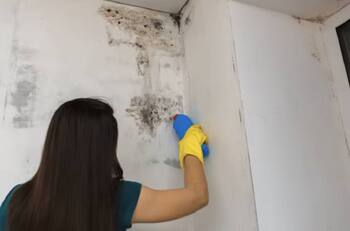 El truco para eliminar la humedad de tu hogar