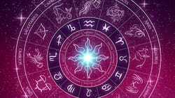 Predicciones del horóscopo del 7 de octubre de 2023: la Luna entra en Leo