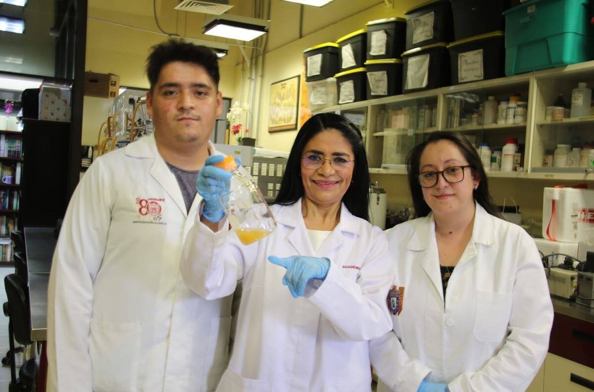 Investigadores del IPN hallan probiótico anticancerígeno en el pulque: obtienen patente internacional