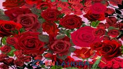 Encuentra el grillo escondido en este Acertijo Visual, tienes 5 segundos