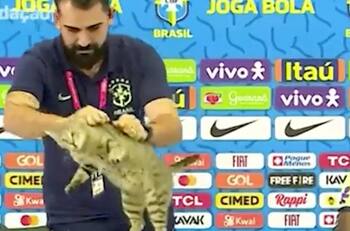 VIDEO | La inesperada acción del auxiliar de Brasil con un gato en conferencia de prensa