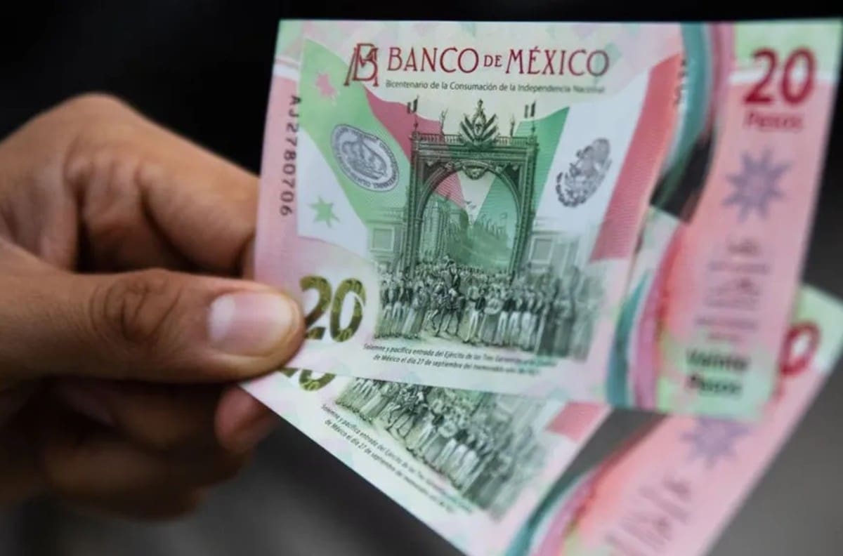 Numismática: Ofrecen 400 mil pesos por billete de 20 con estas dos letras