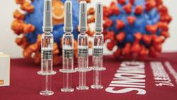 Llega a México primer cargamento de 200.000 vacunas de Sinovac