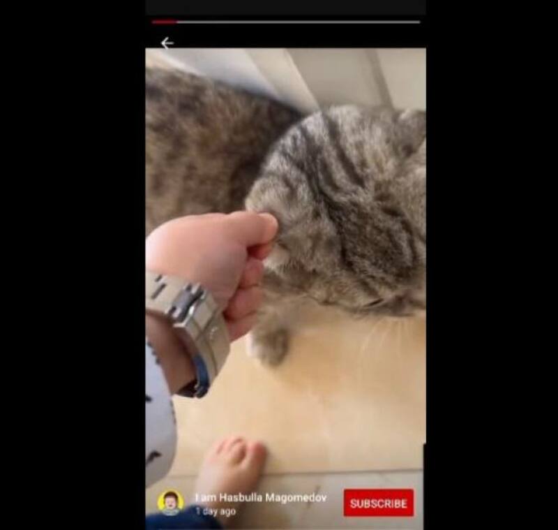 Captura del registro viralizado de Hasbulla